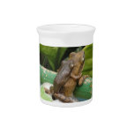 Frog on Back Pitcher