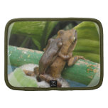 Frog on Back Wallet Folio Folio Planners