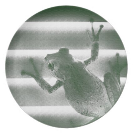 frog on blinds green sketch cool amphibian reptile plates