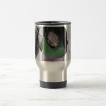 Frog on circle green leaf bw cutout mug