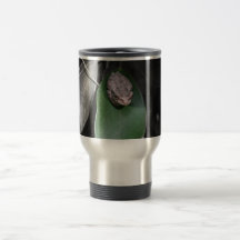 Frog on green leaf bw mug