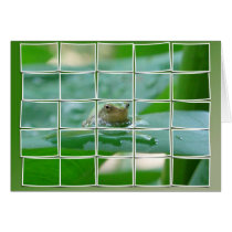 Frog on Leaf Card cards