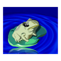 Frog On Lily Pad posters