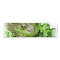 Frog on Marsh Sticker Bumper Stickers