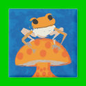 frog on mushroom magnets