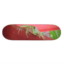 Frog on Rhubarb Skate Boards