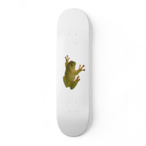 Frog on wall skateboards