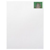 Frog Photo Personalized Letterhead