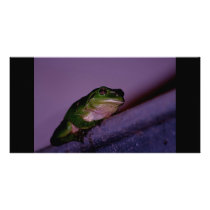 Frog Photo Card Template