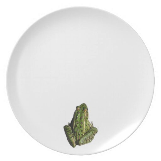 Frog plate Zazzle