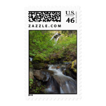 Frog Pond Gulch postage
