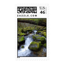 Frog Pond Gulch Spring postage