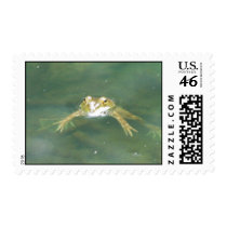 Frog postage