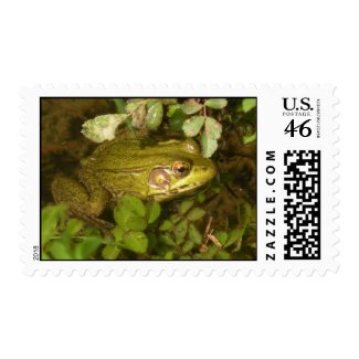 Frog Postage