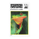 Frog postage