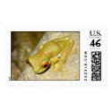 Frog postage