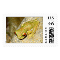Frog postage by w3ndahl Frog postage
