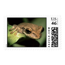 frog postage by WorldDesign frog postage
