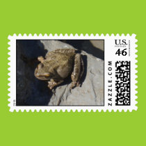 Frog postage stamp stamps