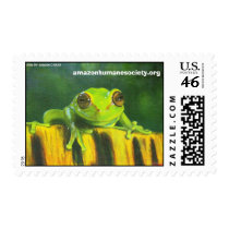 Frog Postage Stamp