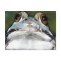 FROG postcards