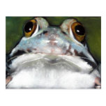 FROG POSTCARD