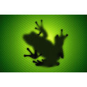 Frog print