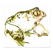 Frog posters