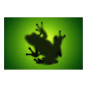 Frog posters