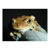 Frog posters