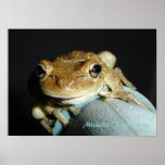 Frog Print