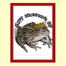 Frog Prince For Valentine's Day postcards
