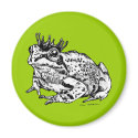 Frog Prince magnet