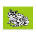 Frog Prince postcard