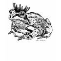 Frog Prince shirt