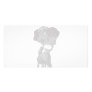 Frog Princess Grotto Custom Photo Card