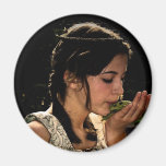 Frog Princess Refrigerator Magnets