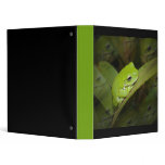 Frog Reflections Binder