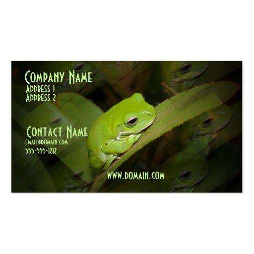 Frog Reflections Business Card