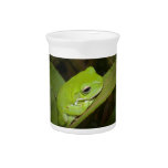 Frog Reflections Pitcher