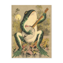 Frog Serenade Postcard postcards