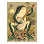 bacon, banjo, bluegrass, cat, clawhammer, cole,