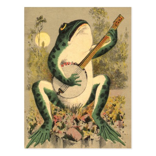 Frog Serenade Postcard