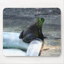 Frog Sitting By A Pool Mousepads
