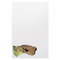 frog stationery by WorldDesign frog stationery