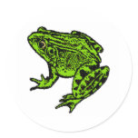 Frog Sticker