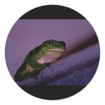 Frog Stickers