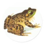 Frog Sticker