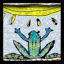 frog sun posters
