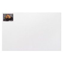 Frog Toad in black wagon with plaid background Custom Stationery